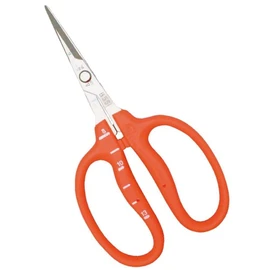 Closest Positive (chikamasa) Stainless Steel Grape Scissor B Care – 500S