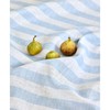 Solino Home Linen Placemats Set of 4 - Sorrento Stripe