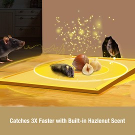 ZingZap Sticky Mouse Traps Glue Boards 13-PK, 3X Faster Catch with Built-in Hazelnut Scent, Extra-Heavy Fiber Glue Traps for Rats & Mice, Crawling Pests, 100% Biodegradable, Indoors Home & Commercial