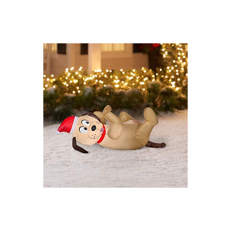 HOLIDAY TIME Playful Puppy in Santa Hat Rolling in The