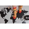 Rainbow Socks - Women Men Pizza Socks Box - Seafood