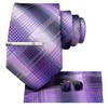 Hi-Tie Classic Mens Silk Ties Set 4 PCS Necktie Pocket