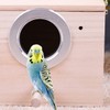 Qixuer 1 Pieces Wood Parakeet Nesting Box,Bird Breeding Box Parrot