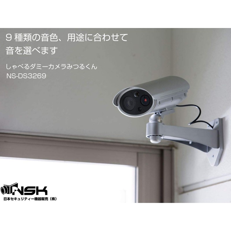 NSK Security Camera, Silver, 3.3 x 7.6 x 6.9 inches