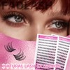 Natural Lash Clusters DIY Lash Extensions at Home Wispy Eyelash