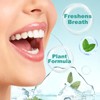 KWOLYKIM 2 Boxes Organic Sugar-Free Refreshing Mint Chewing Gum, Remineralizing