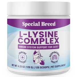 L-Lysine for Cats and Kittens – Cat Supplement for Immune, Respiratory & Eye Support – Lysine Powder with Prebiotics, Bone Broth, Krill, & DMG for Sneezing, Vision, Immunity – 120 Scoops