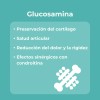 Sqflex Colágeno Hidrolizado Con Glucosamina 2 Botes