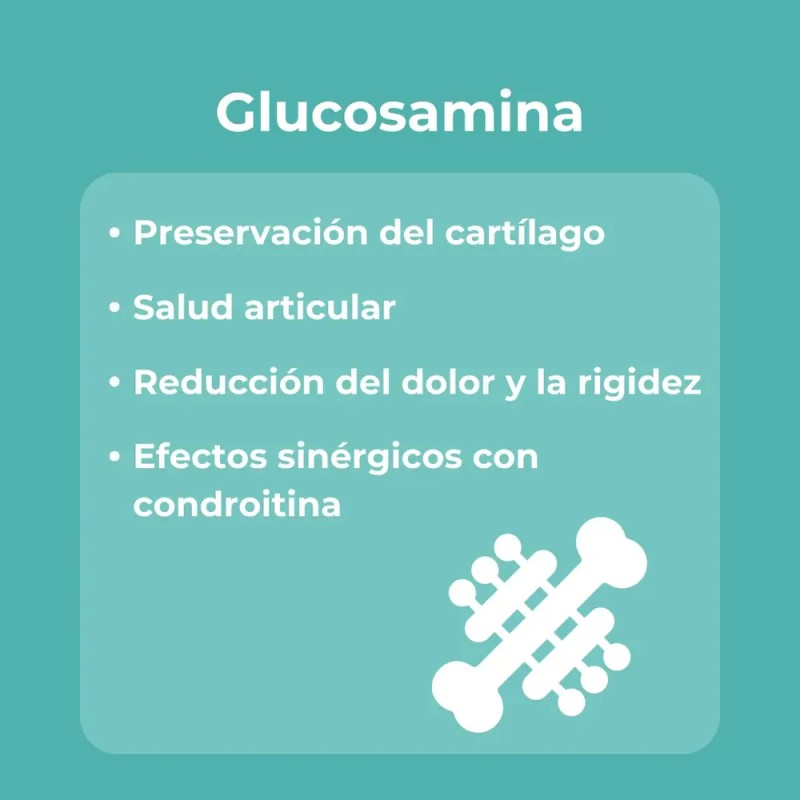 Sqflex Colágeno Hidrolizado Con Glucosamina 2 Botes