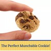 Famous Amos Chocolate Chip Cookies Baked Snacks Cookie Premium Chocolate