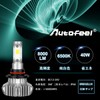 Autofeel Headlight LED HB4 6500K 8000LM DC12-24V Bridgelux 360 Degree
