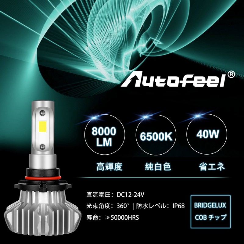Autofeel Headlight LED HB4 6500K 8000LM DC12-24V Bridgelux 360 Degree