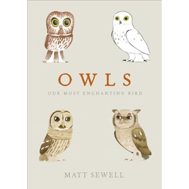 Owls: Our Most Enchanting Bird