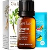 Gya Labs Angelica Root Essential Oil for Diffuser - 0.34