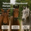 Freestep Steady – Natural Calming Supplement for Horses with Hormonal