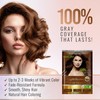 Herbishh Light brown Hair Color Shampoo 2 Travel Pack Combo