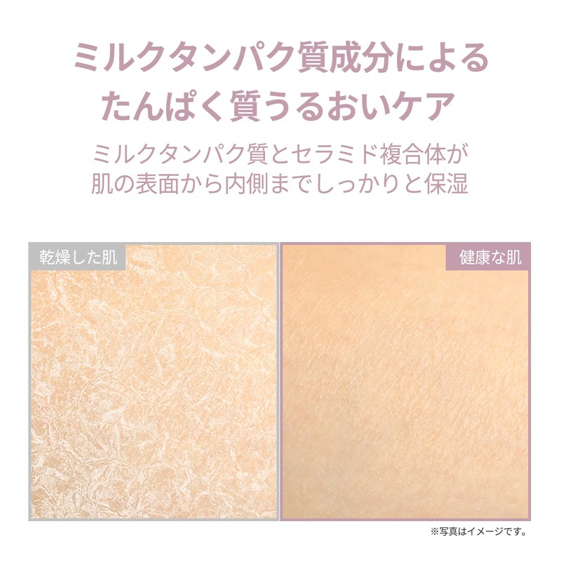 【odiD】Milk In Sera Perfume Body Lotion 500ml (Forest Herb) Body
