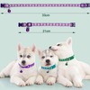 IBXWMNG Pack of 6 Cat Collars with Safety Clasp, Bell
