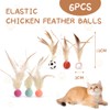 DEFGNOP Cat Toy Set, Chicken Feather Rubber Bouncy Ball 6
