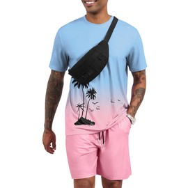 LecGee Men's Summer Casual 2 Piece Outfits Hawaiian Graphic Print Tee T Shirt Drawstring Waist Board Shorts Set(P,L)