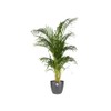 elho Brussels Round 18 - Flower Pot for Indoor -