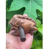 Guiros Percussion Instruments Wooden Frog wooden frog musical instrument 3