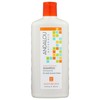 Andalou Naturals Argan Oil & Shea Moisture Rich Shampoo, 11.5