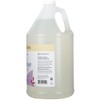 Ginger Lily Farms Botanicals All-Purpose Foaming Hand Soap Refill, Fragrance