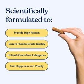 Honest Paws Dog Jerky Treats - All-Natural Jerky Dog Treats for Training Pets - Human Grade Sticks - Real USA Chicken