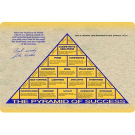 flinelife Basketball Coaching Principles Sign, 12 x 8, Believe Metal Motivational Wall Art Decor - Perfect for Fans