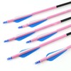 30 inch Carbon Arrow Practice Hunting Arrow, with Detachable tip,