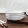 Yinshine Stoneware Dinner Plates Set of 4, 8 Inch Reactive