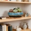 Succulent Pots, 7.3 Inch, Round Large Shallow Flower Plant Pots