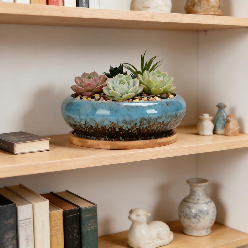 Succulent Pots, 7.3 Inch, Round Large Shallow Flower Plant Pots
