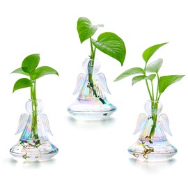 XXXFLOWER Plant Propagation Station,Angel Glass Terrarium Plant Starter Vases for Plant Cuttings Set of 3 Flower Vase for Hydroponics Plants Gifts for Plant Lovers Office Desk Decor