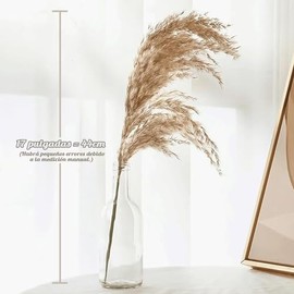 TAKAGI Pampas Decorativas, 30 Piezas (20 Flores Artificiales Color Natural de 45 cm y 10 Flores Secas Blancas de 45 cm), Adecuadas para Decoración de Mesa de Comedor