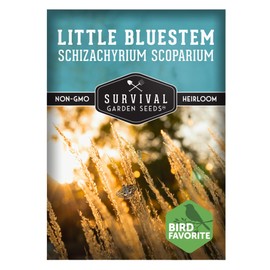 Survival Garden Seeds - Native Little Bluestem Grass Seeds (Schizachyrium scoparium) | Bronze Copper Fall Color | Drought-Tolerant | Non-GMO Bunchgrass Seed - 1 Pack