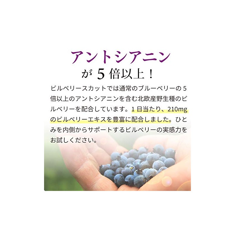 ビルベリースカット ルテイン アントシアニン リコピン マリーゴールドエキス カシス マカ バイオサプリ (90粒×2袋)