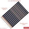 NATARAJ Professional Artist Drawing Pencils Pack Draw Sketch Tone Shade