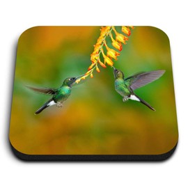 1 x Square MDF Fridge Magnet - Hummingbirds Wildlife Small Bird 16644
