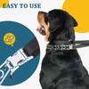 Mayerzon Martingale Prong Collar for Large Medium Dogs that Pull
