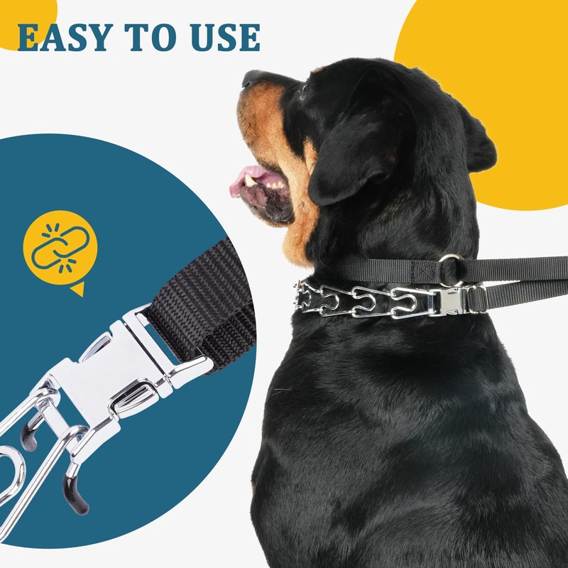 Mayerzon Martingale Prong Collar for Large Medium Dogs that Pull