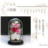 Art Four Seasons Phalaenopsis Denfare Dome Pink Preserved Flowers