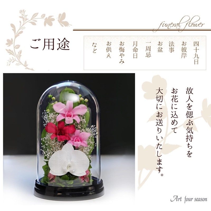 Art Four Seasons Phalaenopsis Denfare Dome Pink Preserved Flowers