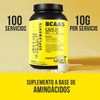 Aminoácidos 1kg En Polvo Mr. Yellow 100servicios Varios Sabo