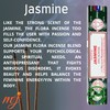 Original Satya Nag Champa Jasmine Incense Sticks | with M&J