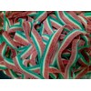 Smarty Stop Every Sour Belts Flavor Gummy Candy 1 Pound