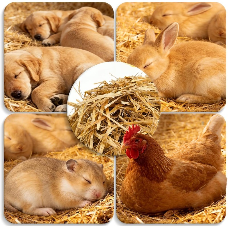 Natural Wheat Straw - Dry Clean Soft Bale for Stray