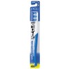 Lion Bitoen Lion Regular Firm Lion Co., Ltd. x 4