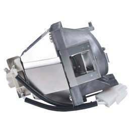 RLC-108 Replacement Lamp Bulb with Housing Fits for VIEWSONIC PA503S PA503X PA500S PA500X PA502ES PA502XE PA503SP PA503XP PG603X PS501X PS600X VS16909 VS16905 Projector Lamp (RLC-108 Module Lamp)